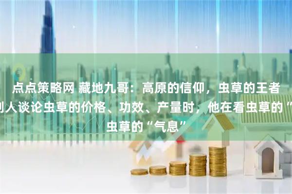 点点策略网 藏地九哥：高原的信仰，虫草的王者，当别人谈论虫草的价格、功效、产量时，他在看虫草的“气息”