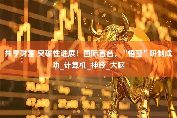 共享财富 突破性进展！国际首台，“悟空”研制成功_计算机_神经_大脑