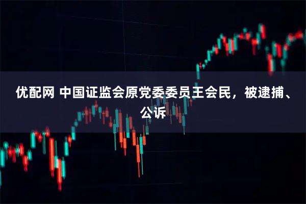 优配网 中国证监会原党委委员王会民，被逮捕、公诉